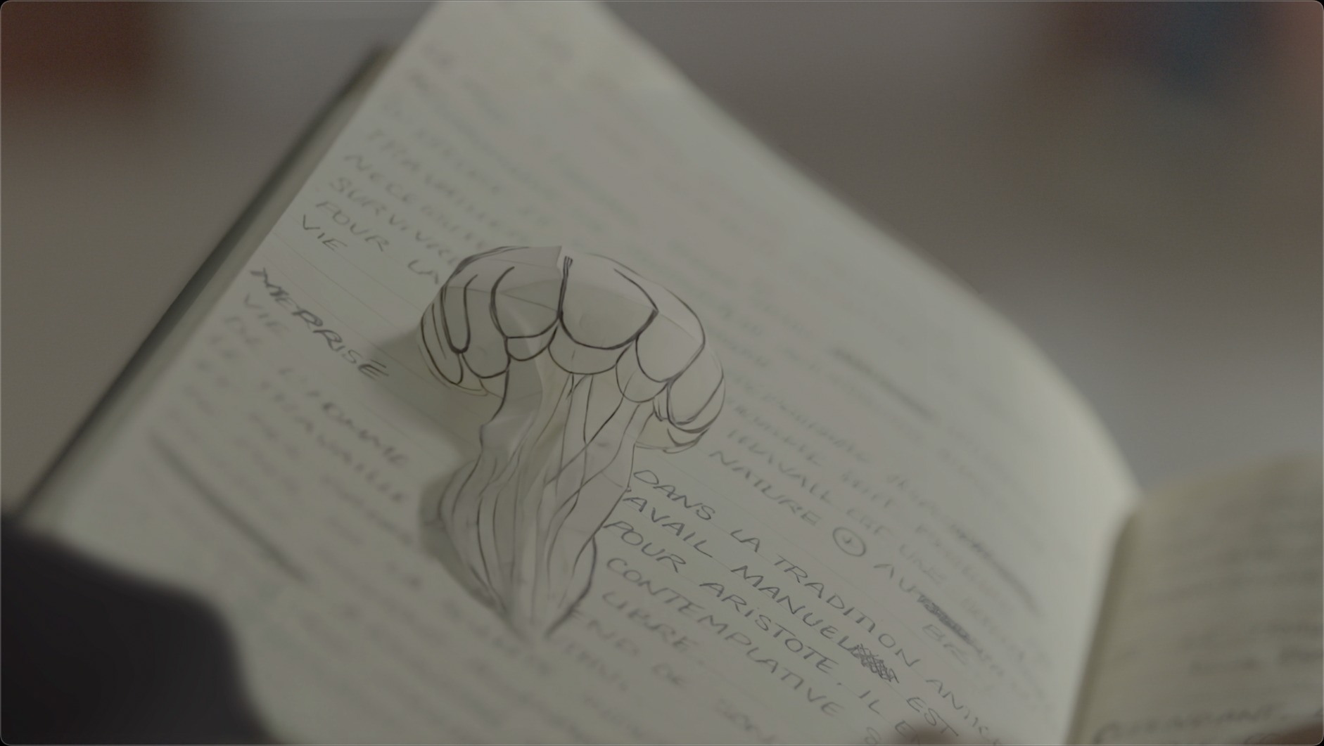 Final live-action jellyfish integration frame