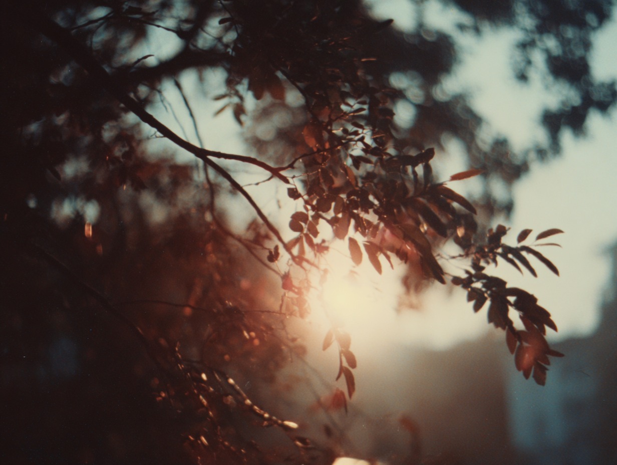 Super 8 light and leaves texture insert